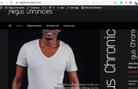 Negus Chronicles Website Designed By Tay Digital